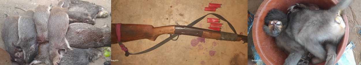 Gestion de la faune cynégétique